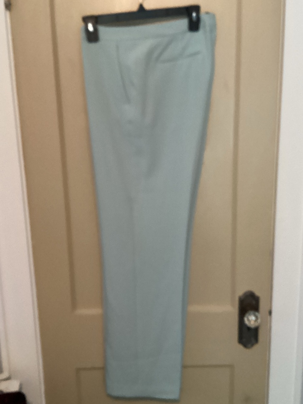 Kasper women’s pale green Dress Pants